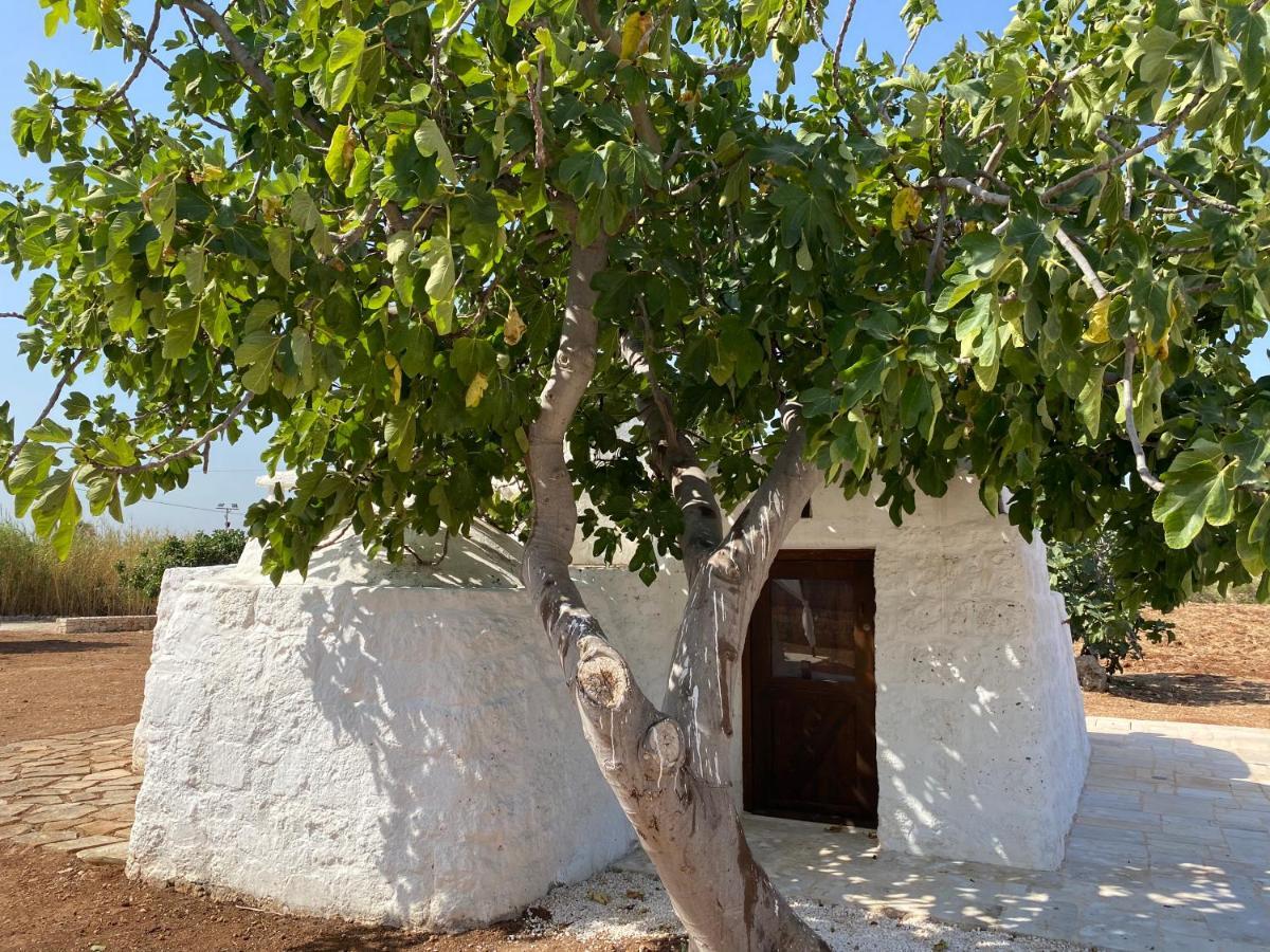 Vila Trullo Seaside Polignano Polignano a Mare Exteriér fotografie